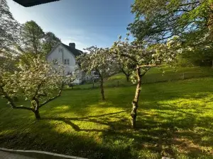 Luxurious 2-Room Apartment in Central Borås