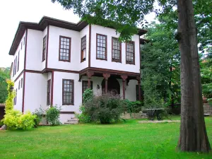 Mehves Hanim Konagi