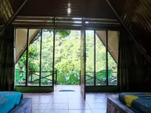 Green Forest Tangkahan