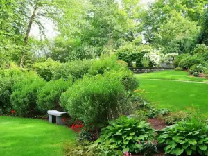 D. Hotel Suites & Spa