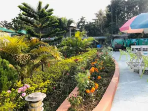 Tea Heaven Resort