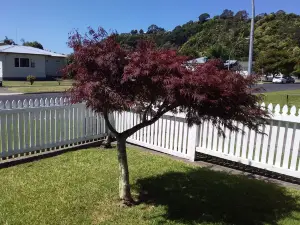 Fantastic Two Bedroom Unit