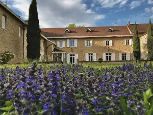 Le Clos Ayanna