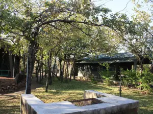 Warthogs Safari Camp
