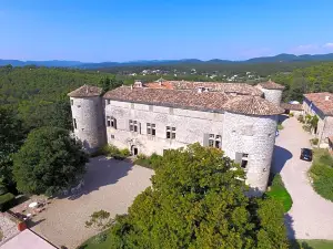 Château de Rousson