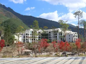 Pine Forest Jeongseon Alpine Resort