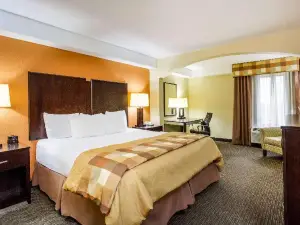 Comfort Inn Conover-Hickory