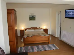 Iliikova House