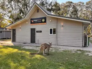 Kangarooms Noosa Everglades