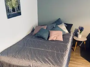 Studiohuoneisto Vallikadun Helmi, 56 m2, AC,Wifi,Parveke