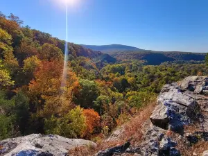 A secluded cabin on the Buffalo Nation River with beautiful views and wildlife.