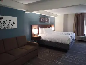 加利福尼亞州MD睡眠套房酒店