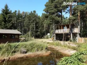 Elulõng Camping