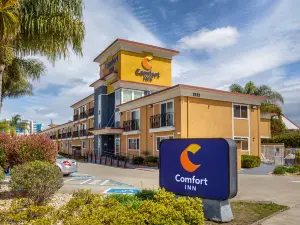 Comfort Inn Castro Valley
