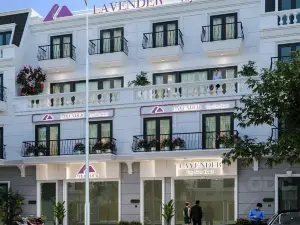 Khách sạn LAVENDER - Vincom Tây Ninh