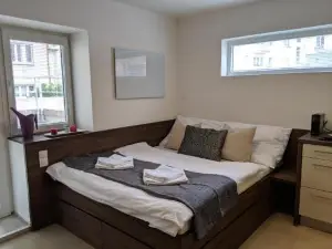 AP10 - Apartments 4U Březinova "Overnight Simply"