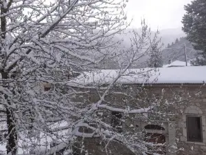 Family's Houses
