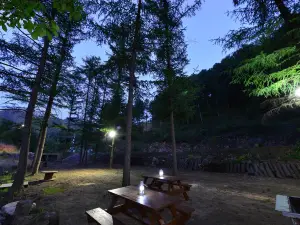 Bongmisan Gyegok Yedang Pension