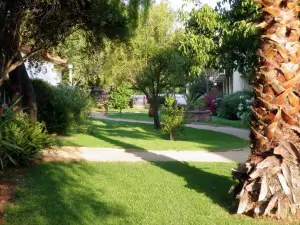 El Copihue Olmué