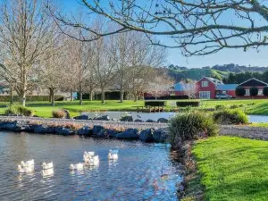 Nirvana Farm, Clevedon