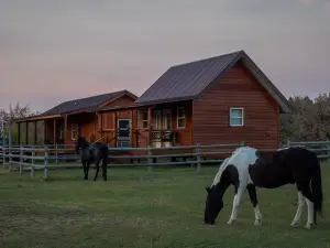 Kara Creek Ranch - King Bed Cabin with Kitchen #6