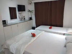 나디 에어포트 트랜짓 호텔