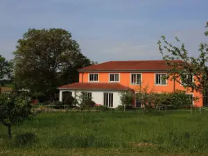 Weinhof am Nussbaum