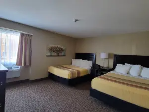The Sleepy Owl
