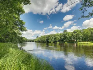 Cozy Cabin on 10 Acres, Walk to Chippewa River!