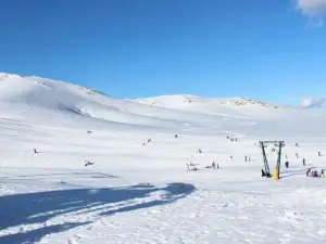 Suite Vallombrosa - Appartamento Premium vicino alle Fonti di Fiuggi