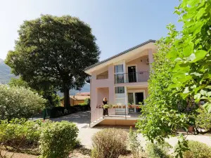 Bed & Breakfast l'Albero Maestro