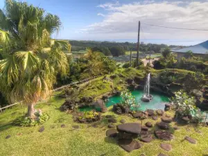 Hilltop Legacy Vacation Rental