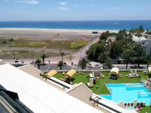 Palm Garden 1