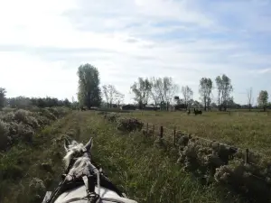 El Paraíso Polo y Naturaleza