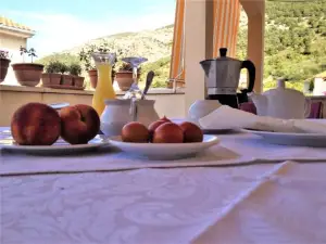 Bed and Breakfast Blue in Blue