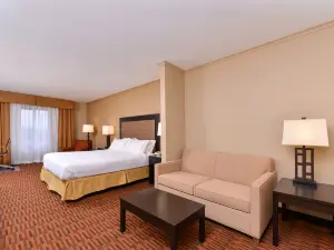 布瑞茲伍德智選假日飯店