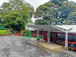 Cloud Forest Lodge