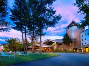 Azumino Hotaka View Hotel