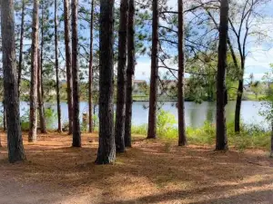 Honeybear Hideaway Cabin