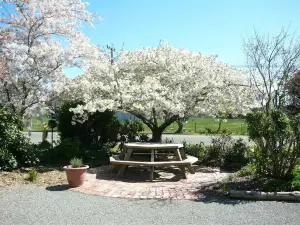 Serenity Motels