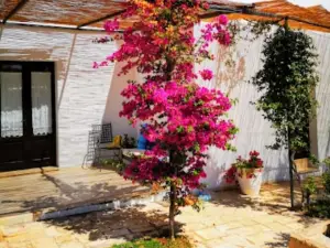 Room in BB - Spacious Quadruple Room in Ancient Masseria Near the Sea in a Quiet Olive Trees