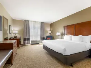 Comfort Inn & Suites Tavares North