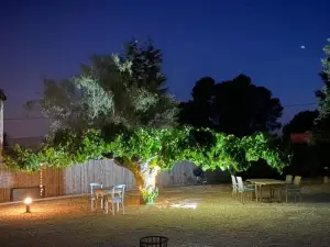 B&B Casa MIL Sueños