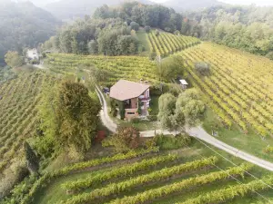 A house in the vineyard