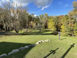 The woods at spring creek