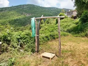 chalet nel bosco