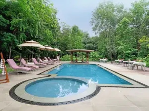 브리즈 소네 바그, 반다브가르 | 럭셔리 정글 리트리트