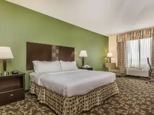 Holiday Inn Express & Suites Dumas