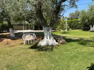 Les Olives Woodhouse