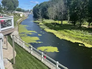 The Spacious Canal Condo